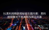 91黑料网精辟揭秘娱乐圈内幕：黑料频频曝光下的真相与舆论风暴