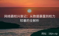 网络霸权兴衰记：从数据暴露到权力较量的全解析