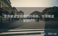 甘雨被盗宝团挤扔的视频，甘雨被盗宝团挤扔