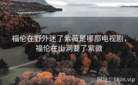 福伦在野外迷了紫薇是哪部电视剧，福伦在山洞要了紫微