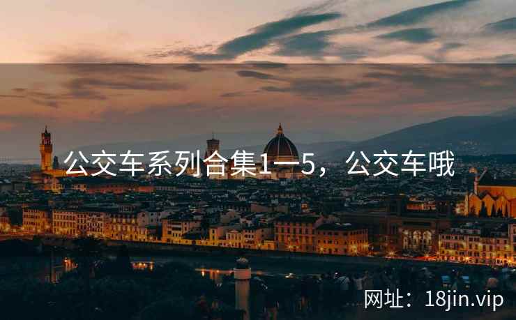 公交车系列合集1一5，公交车哦