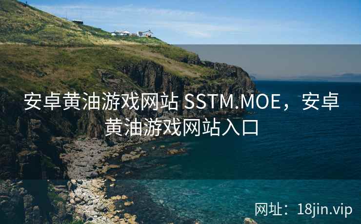 安卓黄油游戏网站 SSTM.MOE，安卓黄油游戏网站入口