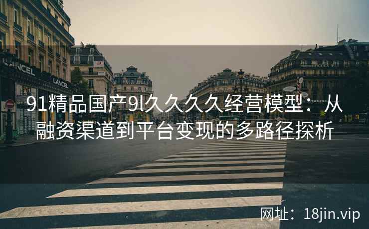 91精品国产9l久久久久经营模型：从融资渠道到平台变现的多路径探析