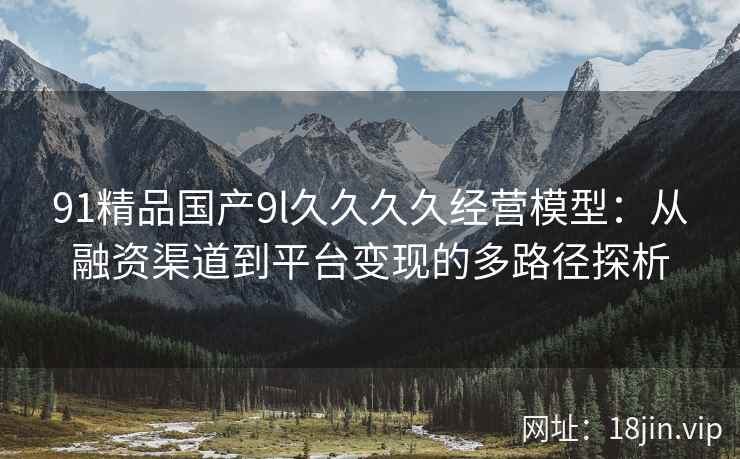 91精品国产9l久久久久经营模型：从融资渠道到平台变现的多路径探析