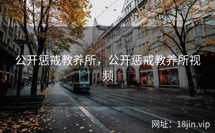 公开惩戒教养所，公开惩戒教养所视频