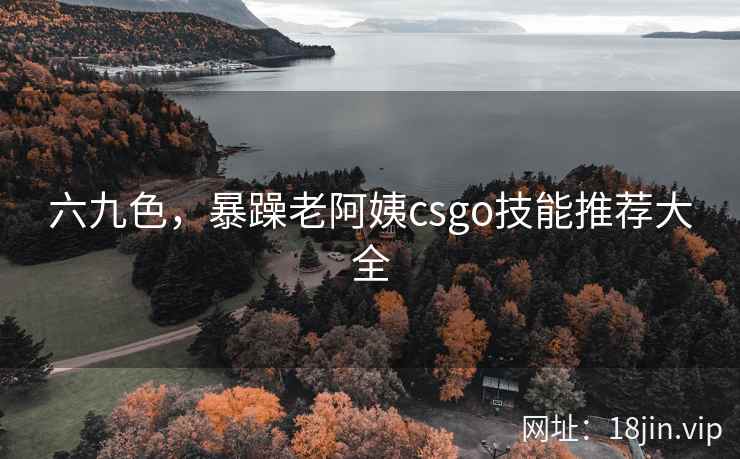 六九色，暴躁老阿姨csgo技能推荐大全