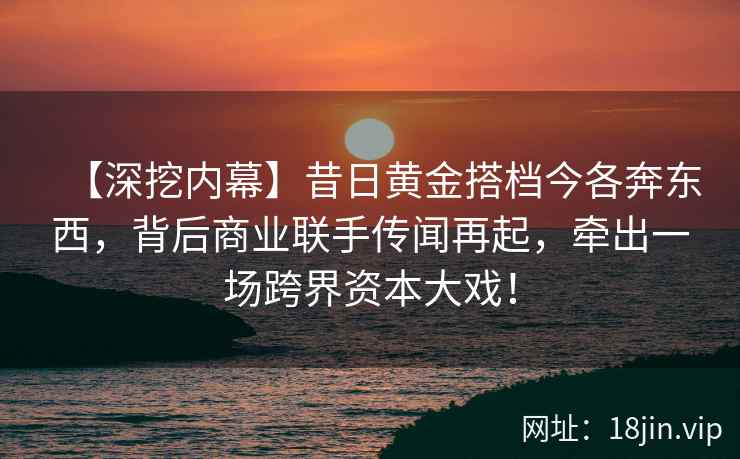 【深挖内幕】昔日黄金搭档今各奔东西，背后商业联手传闻再起，牵出一场跨界资本大戏！
