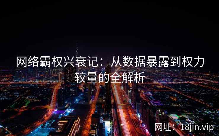 网络霸权兴衰记：从数据暴露到权力较量的全解析